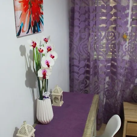 Comfy And Cozy Appartamento *